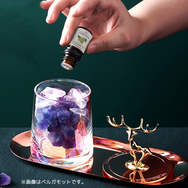 真正ラベンダー 精油 アロマオイル 10ml エッセンシャルオイル 天然成分100% 1本 スマッジング True Lavender 香り フローラル