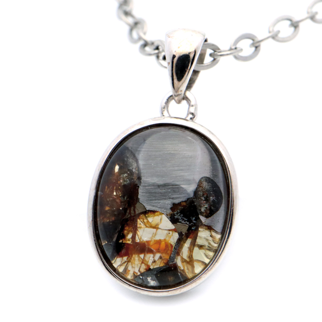 パラサイト隕石 ケニア セリコ産 重量1.0g 隕石標本