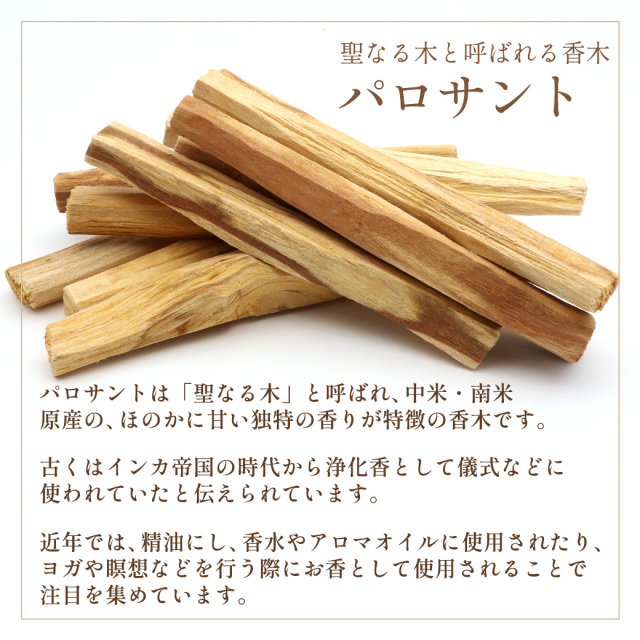 パロサント 香木 スティック エクアドル産 50g 高油分 お香 浄化 香り おしゃれ 癒し スマッジング 聖なる木 本物 ヨガ 睡眠