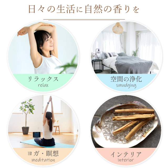 パロサント 香木 スティック エクアドル産 50g 高油分 お香 浄化 香り