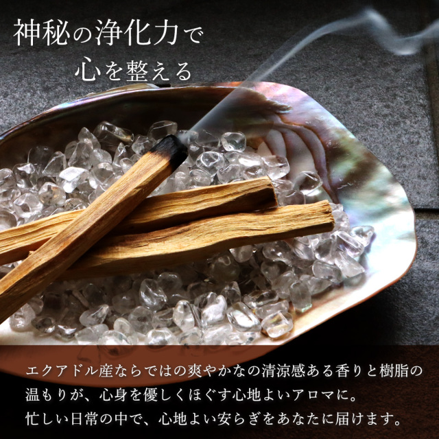 パロサント 香木 スティック エクアドル産 50g 高油分 お香 浄化 香り おしゃれ 癒し スマッジング 聖なる木 本物 ヨガ 睡眠