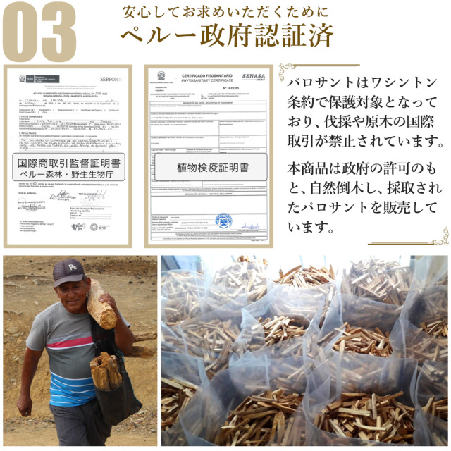 パロサント 香木 スティック 選別済み 50g お香 浄化 香り おしゃれ 癒し スマッジング ペルー産 聖なる木