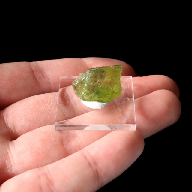 ペリドット 原石 アリゾナ州産 1点もの 宝石質 加工用 台付き 標本 ツーソン展示会商品 橄欖石 鉱物 結晶 天然石 8月 誕生石