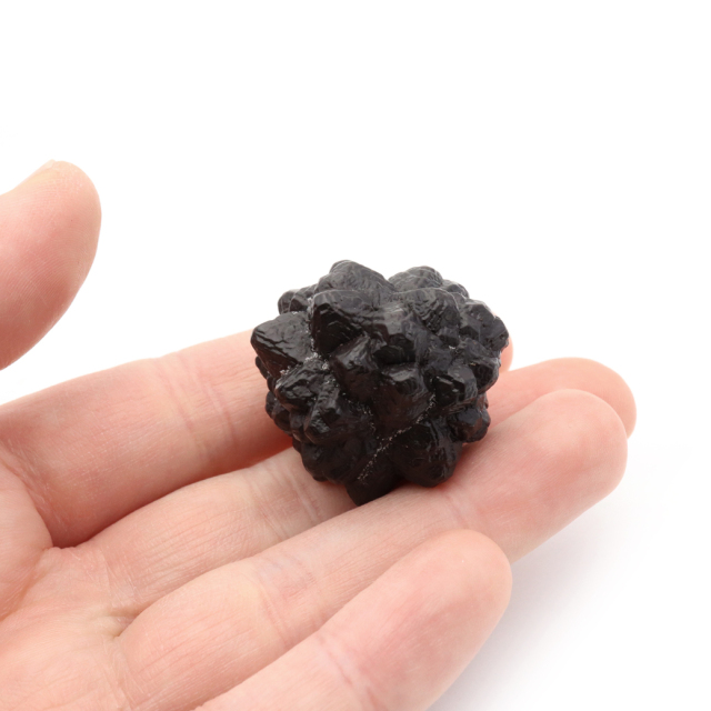 プロフェシーストーン 3-4m前後 1個売り 原石 結晶 ゼットストーン エジプト サハラ砂漠産 Prophecy stone パワーストーン