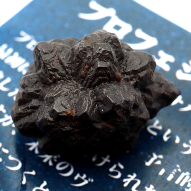 プロフェシーストーン 16.7g 原石 サハラ砂漠産 Prophecy stone 1点もの