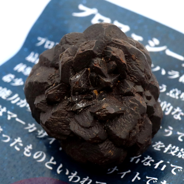 プロフェシーストーン 39.9g 原石 サハラ砂漠産 Prophecy stone 1点もの