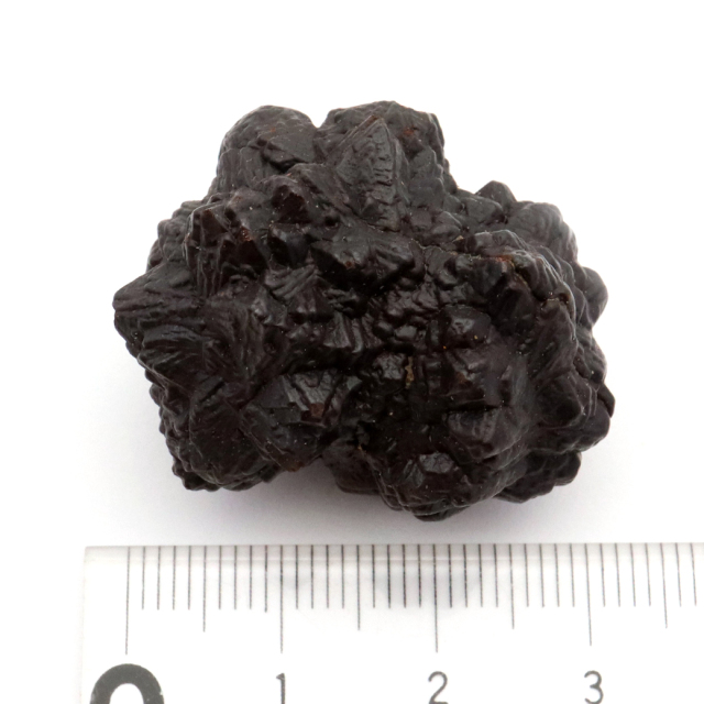 プロフェシーストーン 54.6g 原石 サハラ砂漠産 Prophecy stone 1点もの