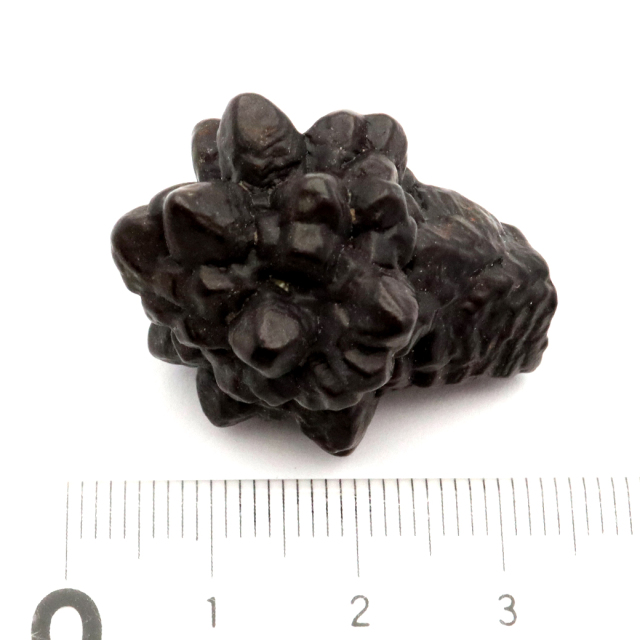 プロフェシーストーン 19.2g 原石 サハラ砂漠産 Prophecy stone 1点もの