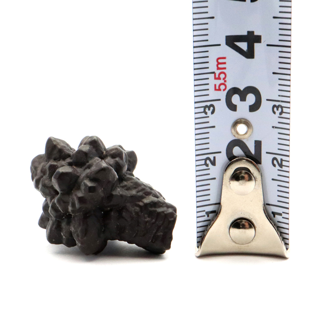 プロフェシーストーン 19.2g 原石 サハラ砂漠産 Prophecy stone 1点もの
