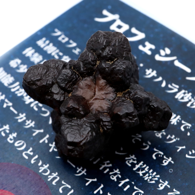 プロフェシーストーン 32.5g 原石 サハラ砂漠産 Prophecy stone 1点もの