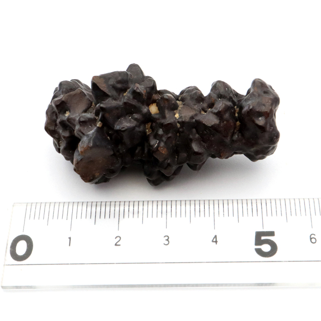 プロフェシーストーン 37.7g 原石 サハラ砂漠産 Prophecy stone 1点もの