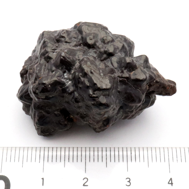 プロフェシーストーン 39.0g 原石 サハラ砂漠産 Prophecy stone 1点もの