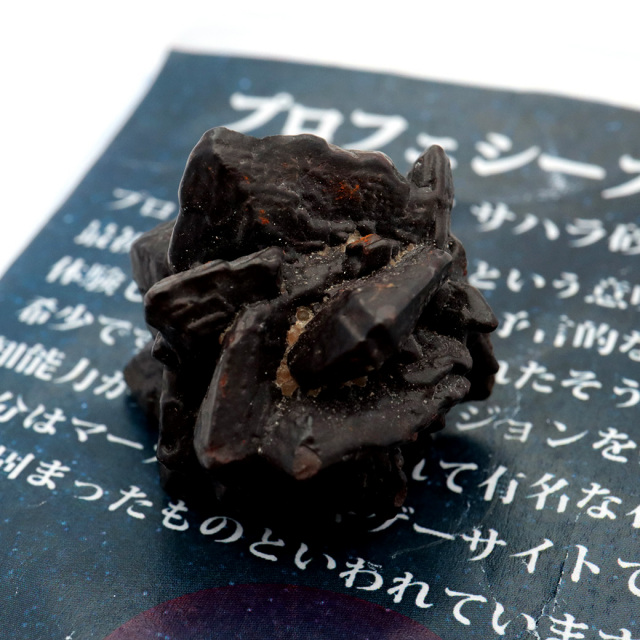 プロフェシーストーン 原石 サハラ砂漠産 Prophecy stone 1点もの