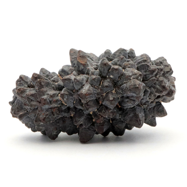 プロフェシーストーン 原石 サハラ砂漠産 Prophecy stone 1点もの