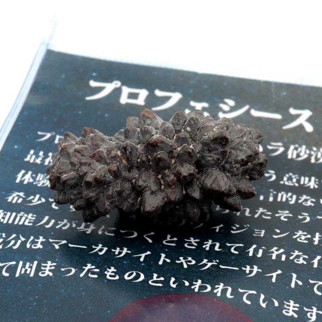 プロフェシーストーン 原石 サハラ砂漠産 Prophecy stone 1点もの