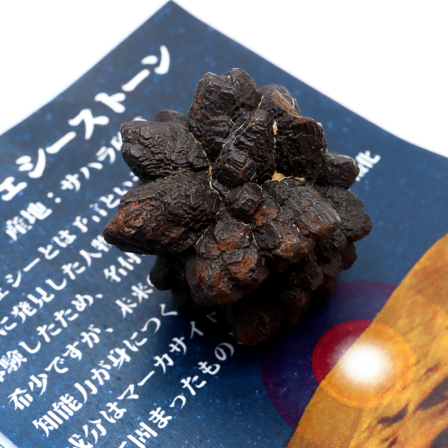 プロフェシーストーン 60.8g 原石 サハラ砂漠産 Prophecy stone 1点もの
