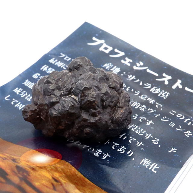 プロフェシーストーン 原石 サハラ砂漠産 Prophecy stone 1点もの