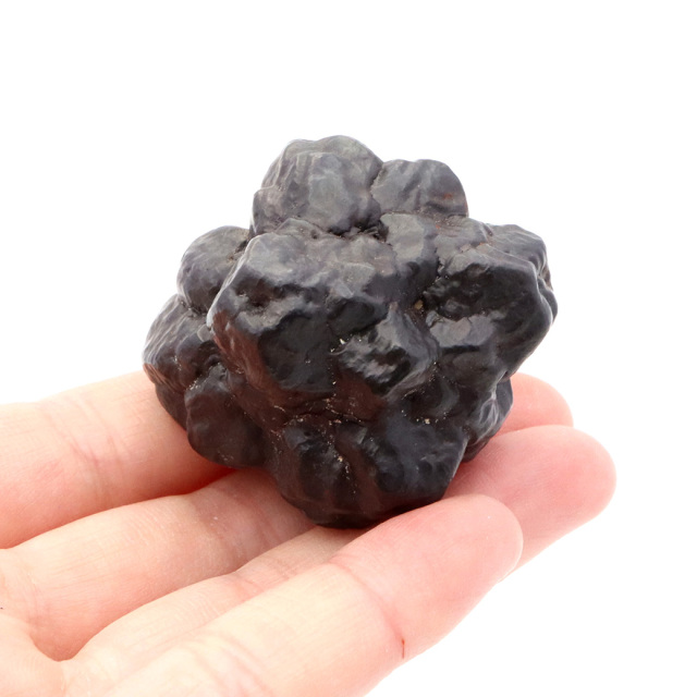 プロフェシーストーン 原石 サハラ砂漠産 Prophecy stone 1点もの
