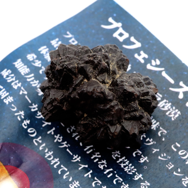 プロフェシーストーン 原石 サハラ砂漠産 Prophecy stone 1点もの