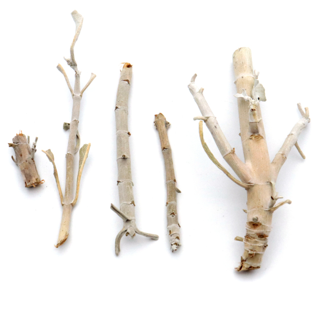 ホワイトセージ 枝のみ バー 茎のみ 詰め合わせ 100g お香 無農薬 高品質 カルフォルニア産 white sage