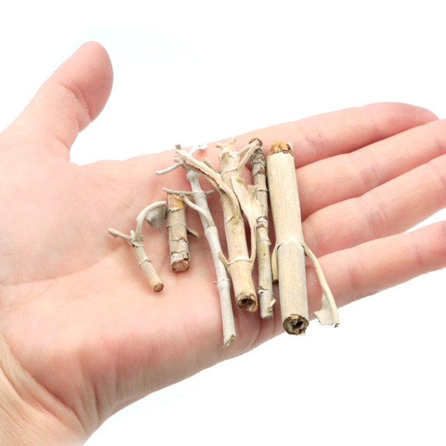 ホワイトセージ 枝のみ バー 茎のみ 詰め合わせ 50g お香 無農薬 高品質 カルフォルニア産 white sage