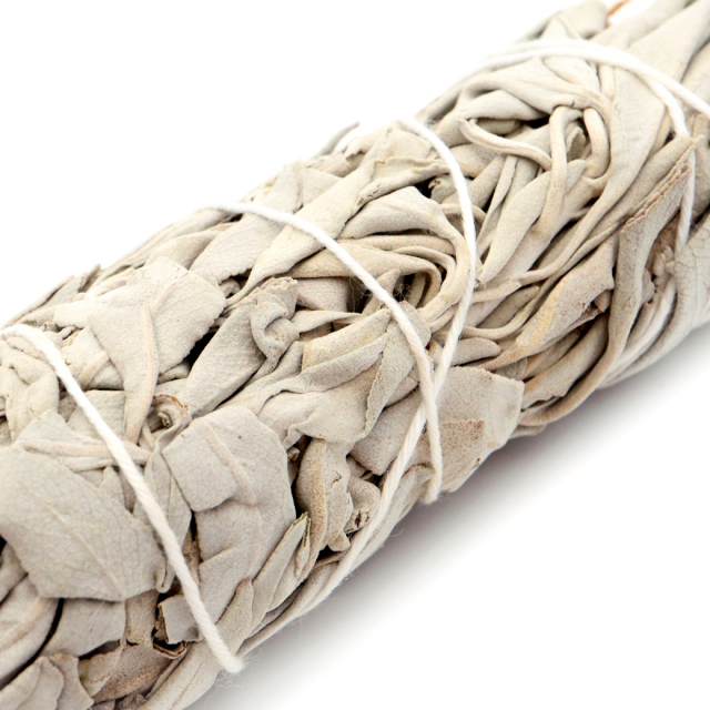 ホワイトセージ バンドル タイプ 1本 無農薬 高品質 カリフォルニア産