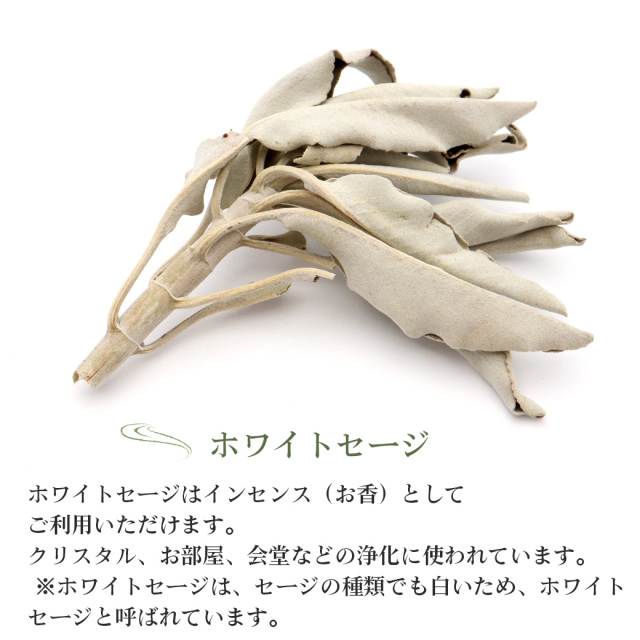 枝付きホワイトセージ