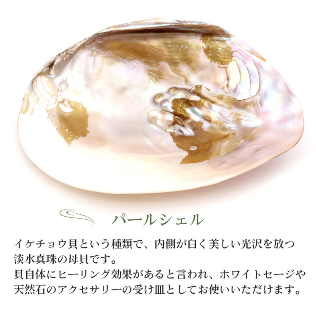 ホワイトセージ セット パールシェル 水晶さざれ 木製台座 4点 入門キット アロマ お香 カリフォルニア州産 セージ 無農薬