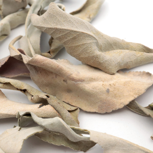 ホワイトセージ クラッシュ 訳あり 無選別 B品 100g 無農薬 高品質 カルフォルニア産 white sage