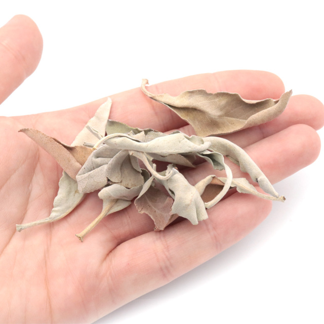 ホワイトセージ クラッシュ 訳あり 無選別 B品 100g 無農薬 高品質 カルフォルニア産 white sage
