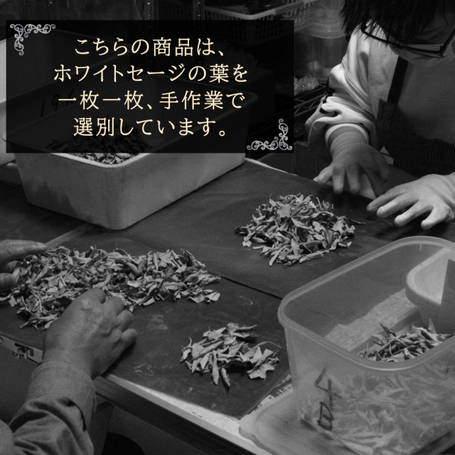 ホワイトセージ リーフ 枝なし クラッシュ MIX 選別済み 30g 無農薬 高品質 カルフォルニア産 white sage