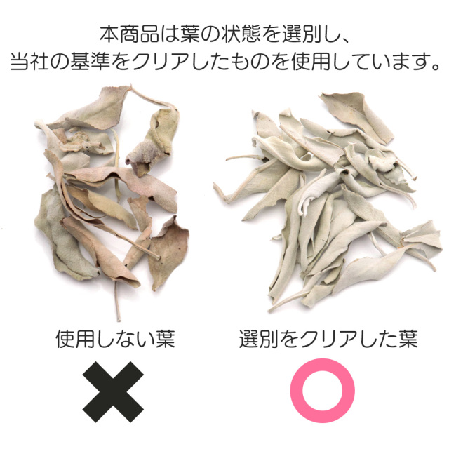 ホワイトセージ リーフ 枝なし クラッシュ MIX 選別済み 30g 無農薬 高品質 カルフォルニア産 white sage
