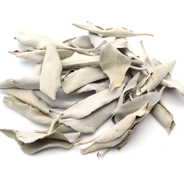 ホワイトセージ 枝無し リーフのみ 10g 選別済み 特選 プレミアム