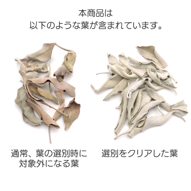 ホワイトセージ クラッシュ 無選別 50g 無農薬 高品質 カルフォルニア産 アロマ リーフ white sage