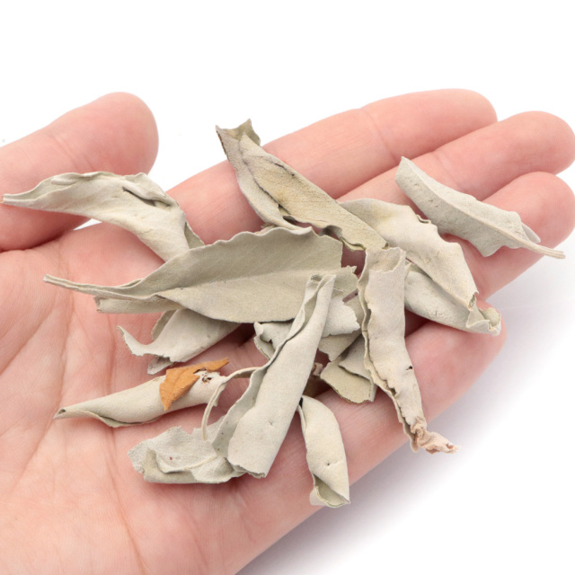 ホワイトセージ クラッシュ 無選別 50g 無農薬 高品質 カルフォルニア産 アロマ リーフ white sage