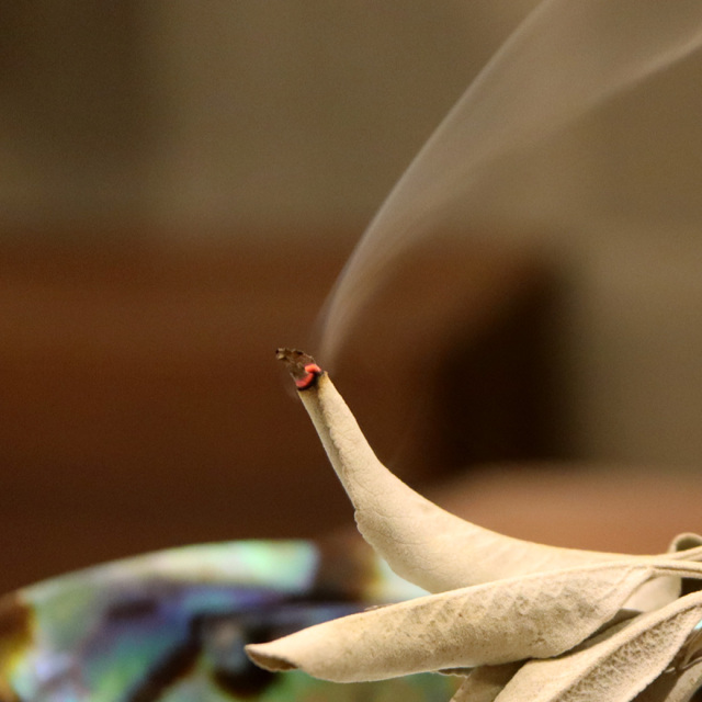 ホワイトセージ クラッシュ 無選別 50g 無農薬 高品質 カルフォルニア産 アロマ リーフ white sage