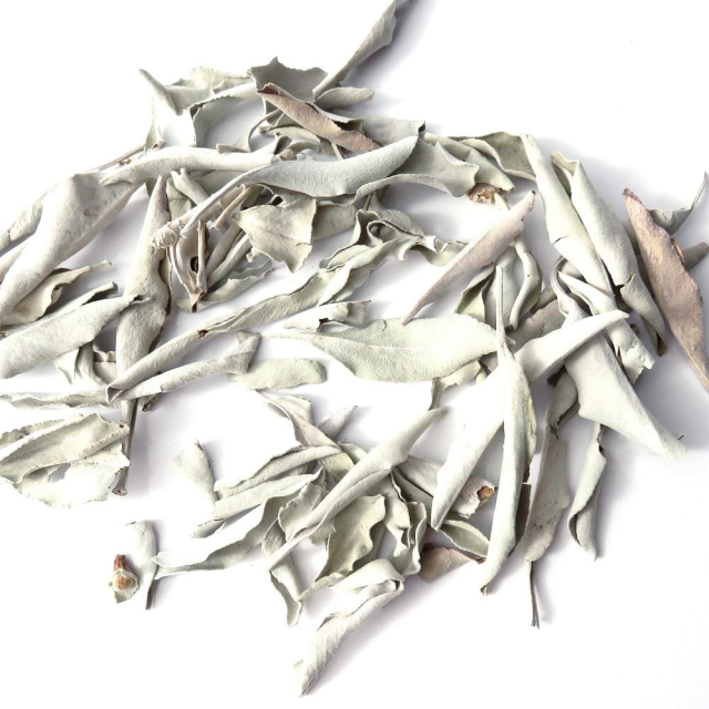 ホワイトセージ 枝無し 無農薬 高品質 カルフォルニア産 30g前後