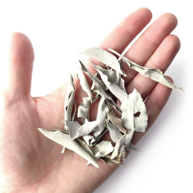 ホワイトセージ 枝無し 無農薬 高品質 カルフォルニア産 30g前後