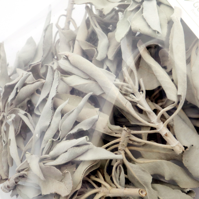 ホワイトセージ 無農薬 カルフォルニア産 お得パック 50g前後 (枝付き、葉小さめ)