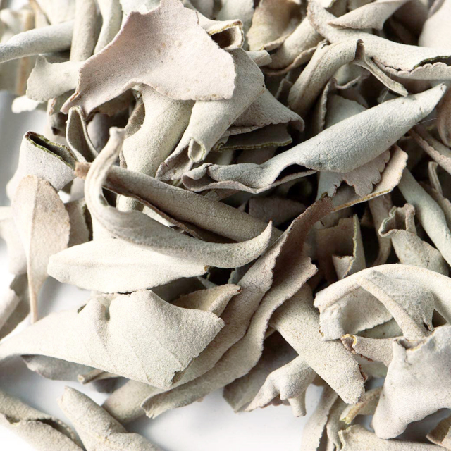 ホワイトセージ 枝無し、クラッシュ 無農薬 カルフォルニア産 お得パック 50g前後