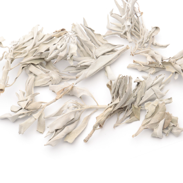 ホワイトセージ 1kg 大容量 無選別 枝付き クラッシュ 無農薬 高品質 セージ お香 浄化 セージの葉 セイジ ハーブ カルフォルニア産