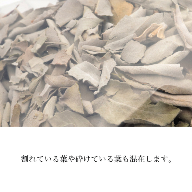 ホワイトセージ 1kg 大容量 無選別 枝付き クラッシュ 無農薬 高品質 セージ お香 浄化 セージの葉 セイジ ハーブ カルフォルニア産