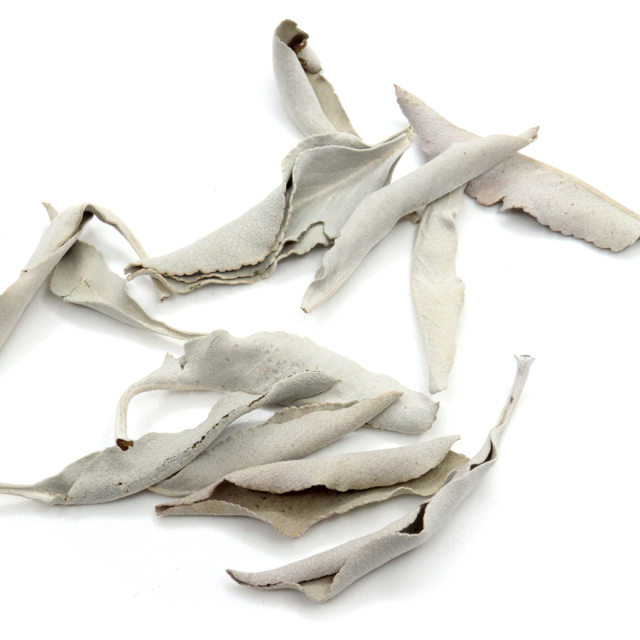 ホワイトセージ 枝無し 無農薬 高品質 カルフォルニア産 300g お徳用