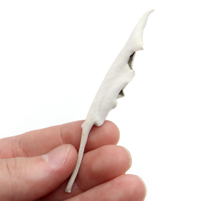 ホワイトセージ 枝無し 無農薬 高品質 カルフォルニア産 300g お徳用