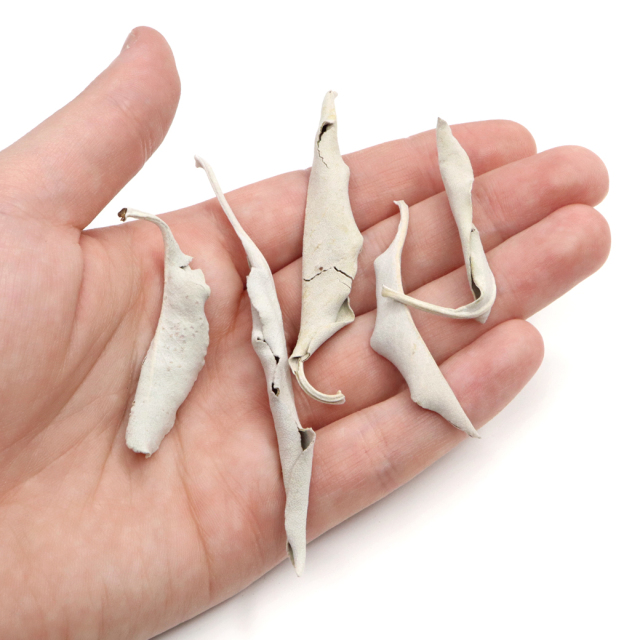 ホワイトセージ 枝無し 無農薬 高品質 カルフォルニア産 300g お徳用