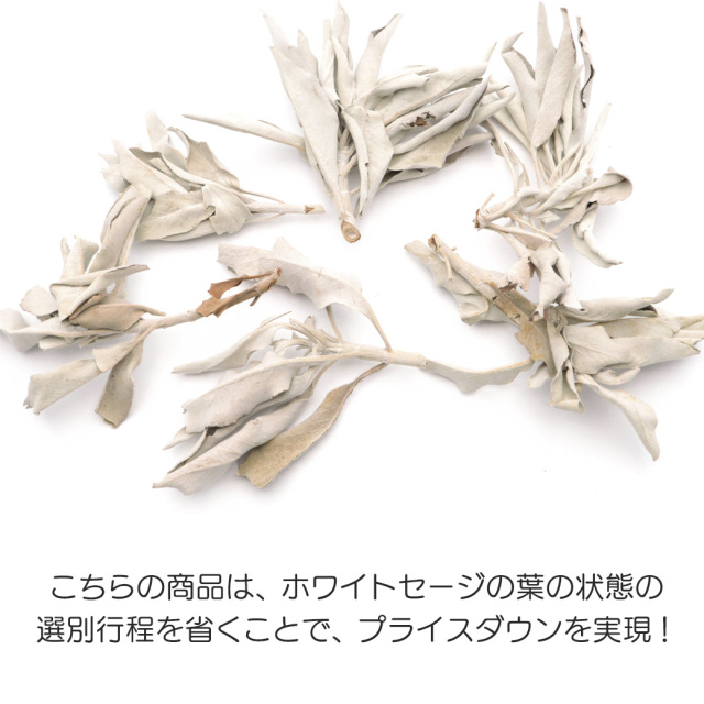ホワイトセージ 枝付き クラスター 無選別 100g 無農薬 高品質 カルフォルニア産 white sage