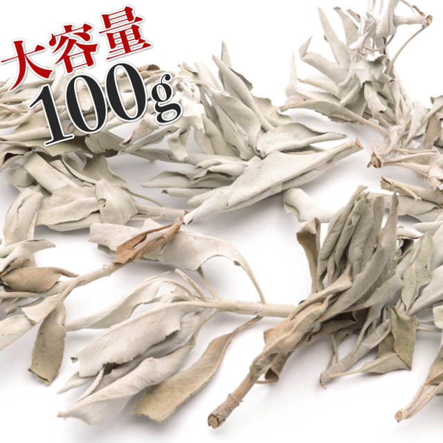 ホワイトセージ 枝付き クラスター 無選別 100g 無農薬 高品質 カルフォルニア産 white sage