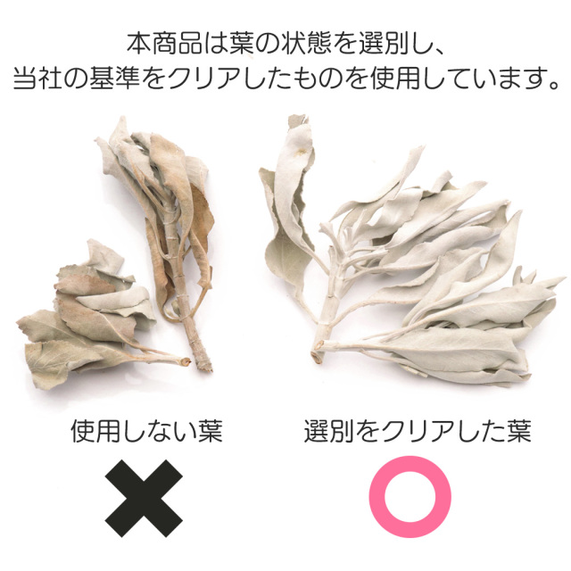ホワイトセージ　カット枝４本 whitesage_04.jpg