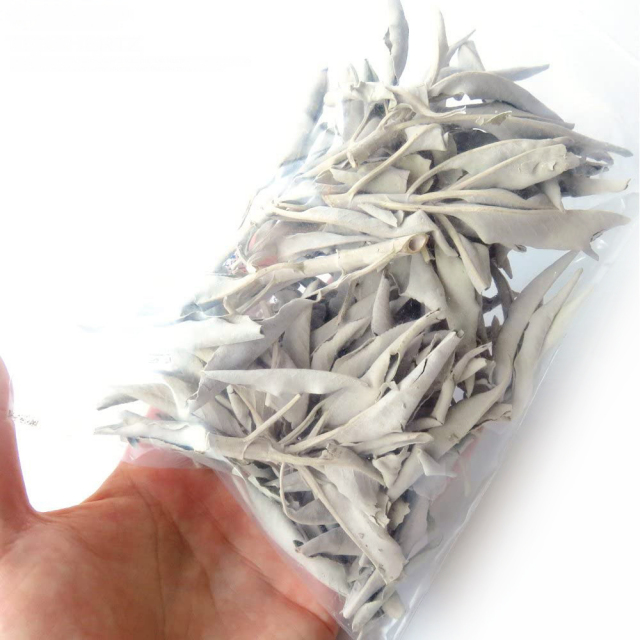 ホワイトセージ 枝付き 無農薬 高品質 カルフォルニア産 30g前後