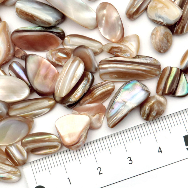 シェル さざれ石 100g MIX アバローニ貝 マザーオブパール ブラウン 天然石 パワーストーン 浄化グッズ ネイルパーツ 材料
